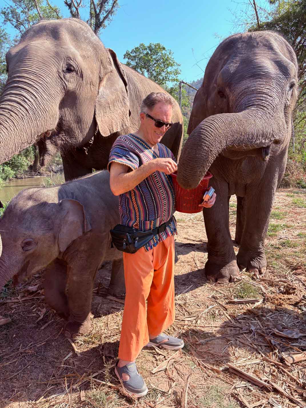 elephants/new_elephants/IMG_9765.jpg