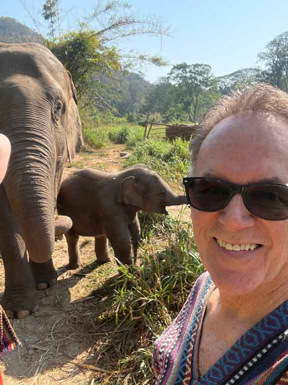 elephants/new_elephants/IMG_9772.jpg