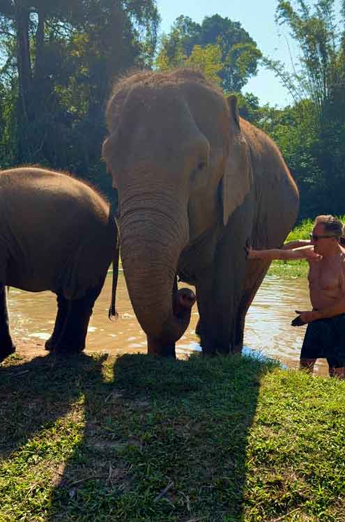 elephants/new_elephants/IMG_9819.jpg